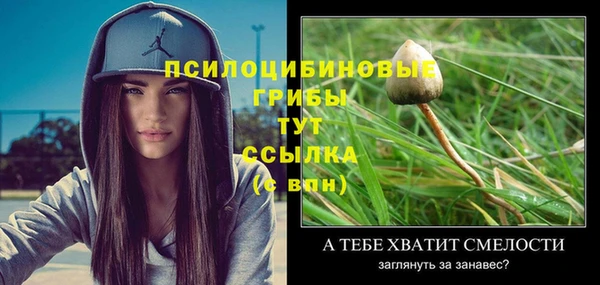 ECSTASY Няндома